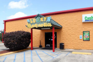 Lucky Magnolia Font door